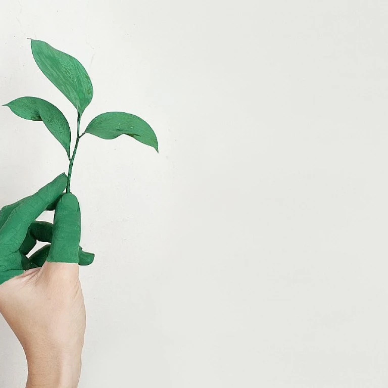 Éclairage LED: Comment Réduire les Coûts et Optimiser votre Stratégie Marketing en Énergie?